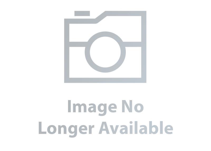 2019 Indian Motorcycle INDIAN CHIEFTAIN DARK HORSE
N19TCDAAE6 WHITE SMOKE