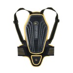 Forcefield Pro LK2 Evo Back Protector